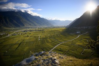Chamoson et son vignoble, le premier du Valais
